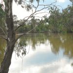 Koondrook - The hidden treasure of the Murray